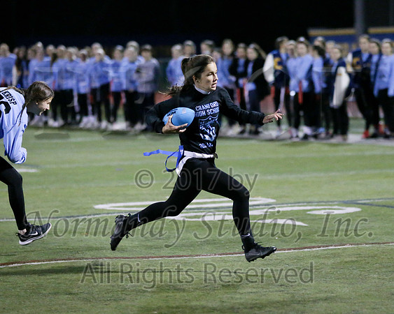 CHS_038_ppf