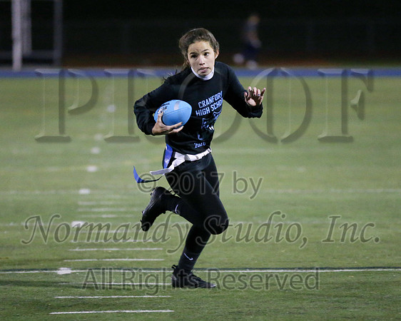 CHS_035_ppf