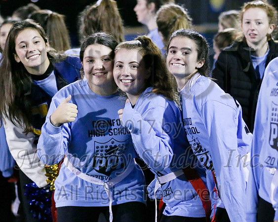 CHS_065_ppf