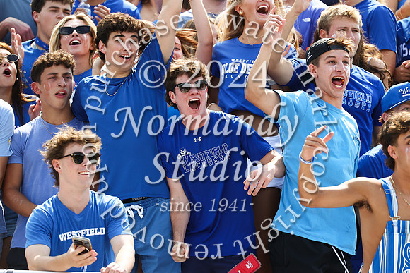 WHS_fans_29