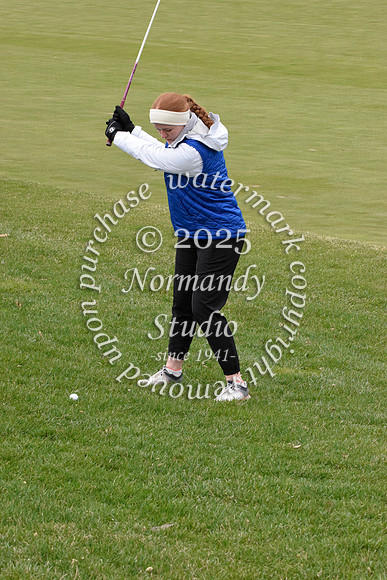WHS_go-g_31