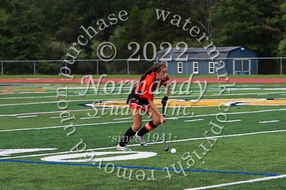 SVL_fh_45