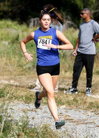CHS_17_cc-g