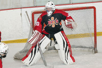 Ice Hockey Action 12-28-14 PT