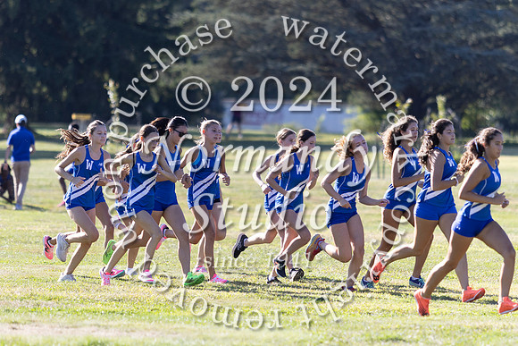 WHS_cc-g_05