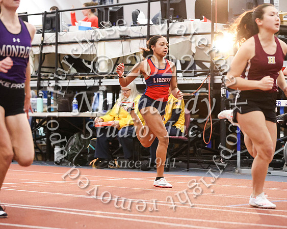 LIB_wt-g_34