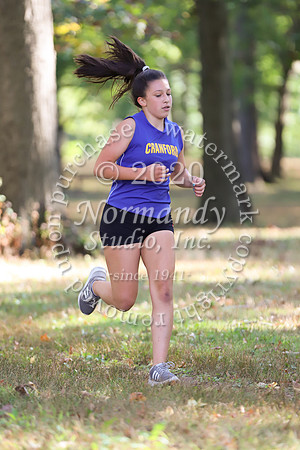 CHS_013_cc-g
