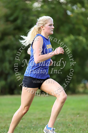 CHS_042_cc-g