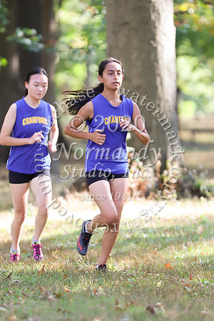 CHS_006_cc-g