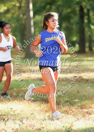 CHS_028_cc-g
