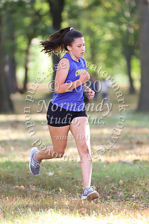 CHS_015_cc-g