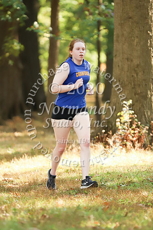 CHS_032_cc-g