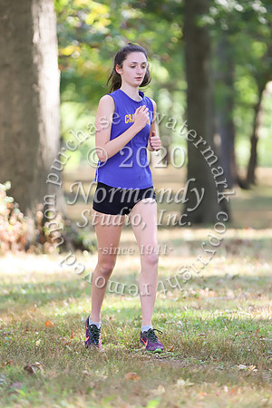 CHS_011_cc-g