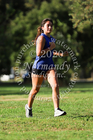 CHS_068_cc-g
