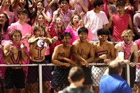 SVL_fans_19