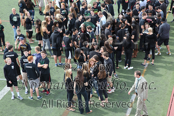 RDG_003_2015_sr_grp