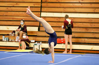 CHS_009_gy