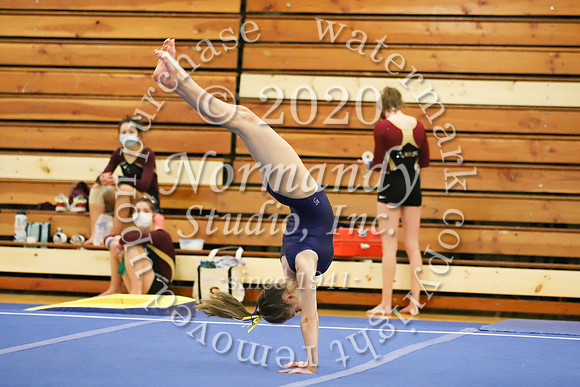 CHS_009_gy