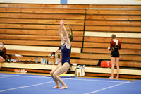 CHS_007_gy