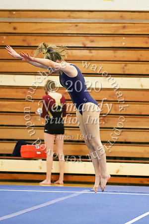 CHS_011_gy