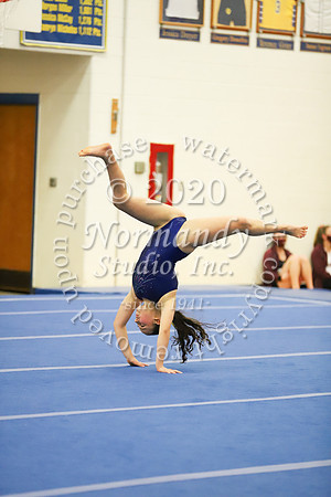 CHS_037_gy