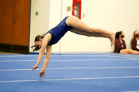 CHS_020_gy