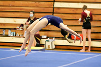 CHS_008_gy