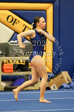 CHS_018_gy