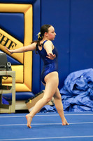 CHS_017_gy