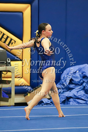 CHS_017_gy