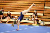 CHS_006_gy