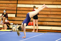 CHS_010_gy