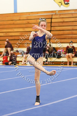 CHS_054_gy