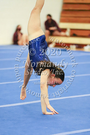 CHS_033_gy