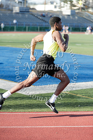 CHS_046_wt-b