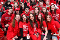 MNP_019_botc