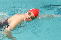 WMM_009_sw-g