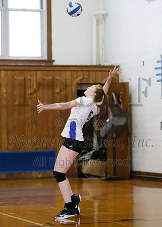CHS_029_vb-g