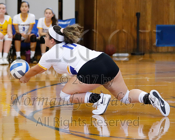 CHS_032_vb-g