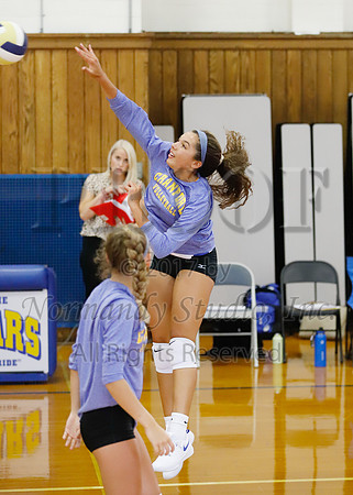 CHS_005_vb-g