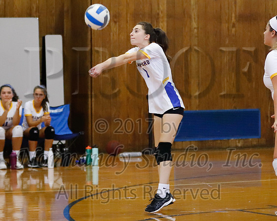 CHS_067_vb-g