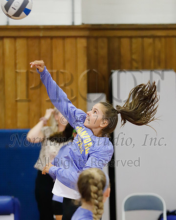 CHS_004_vb-g