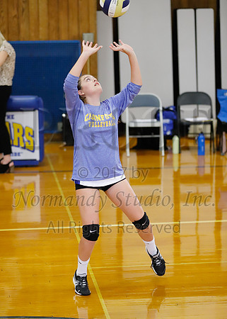 CHS_007_vb-g