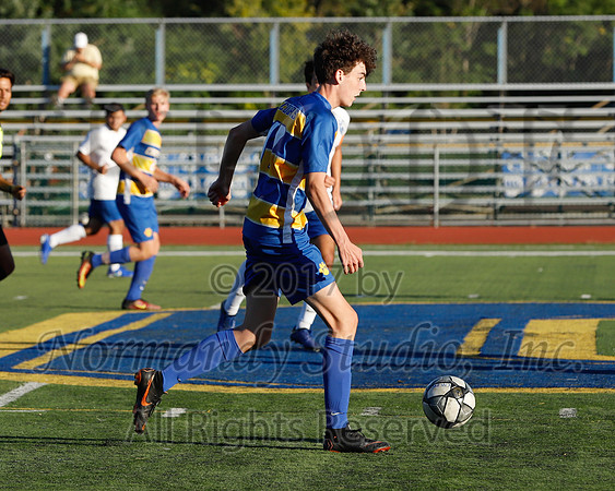 CHS_066_so-b