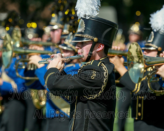 CHS_009_mb