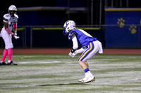 CHS_019_fb