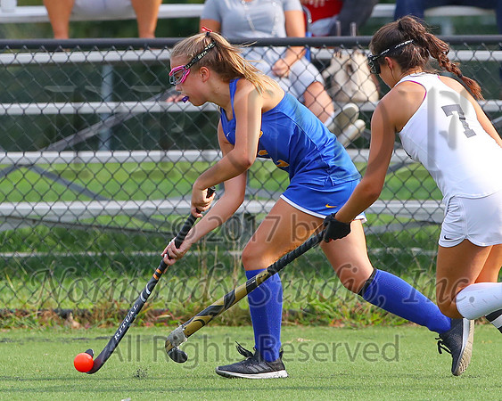 CHS_36_fh