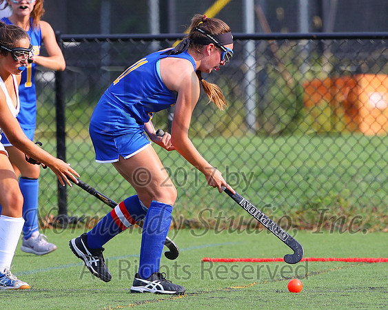 CHS_41_fh