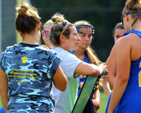 CHS_03_fh