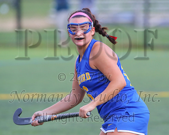 CHS_20_fh